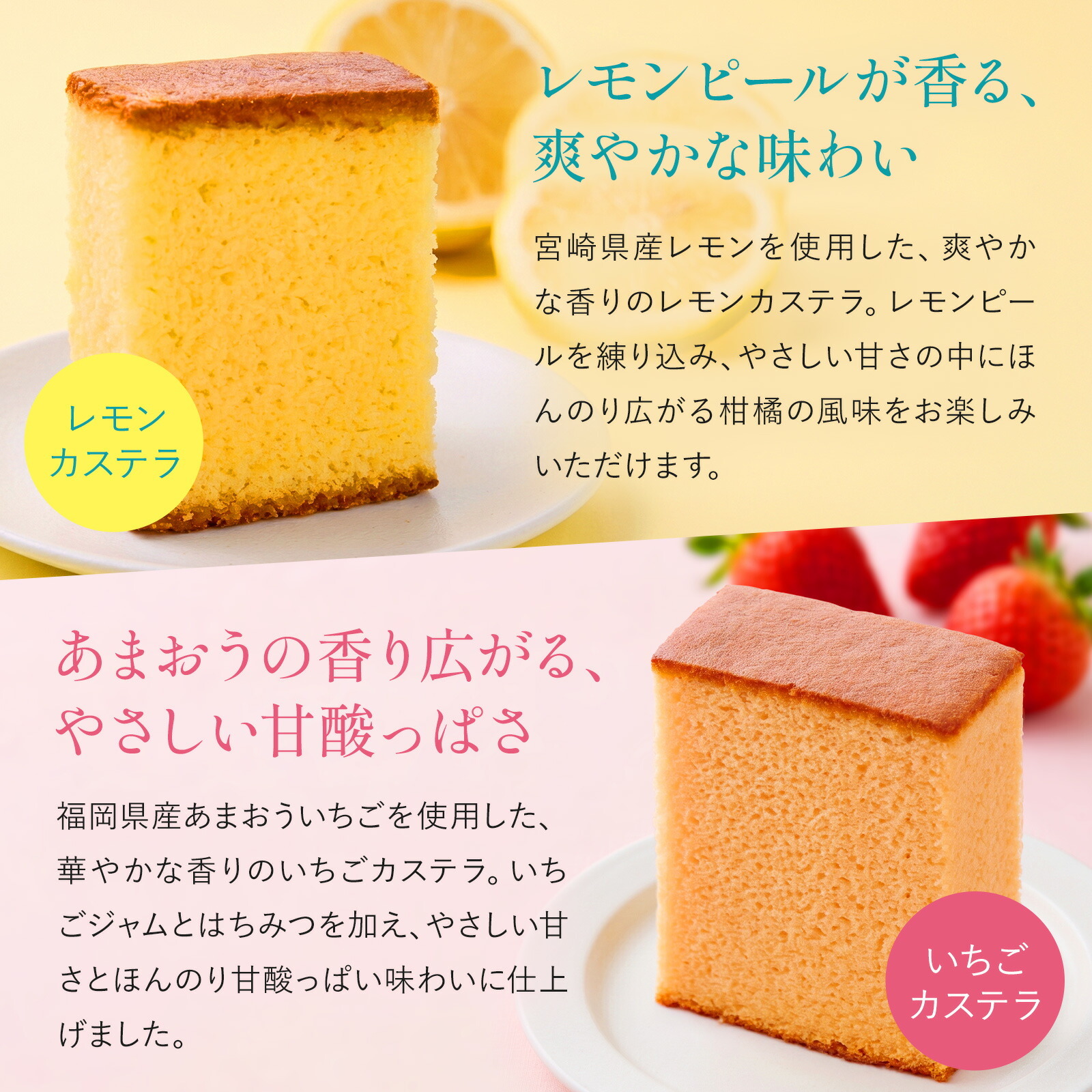 【お悔やみ・お供えの花】アレンジメント(ひまわり、Mサイズ)と銀座千疋屋フルーツカステラのセット お悔やみ(ご遺族へ)カード