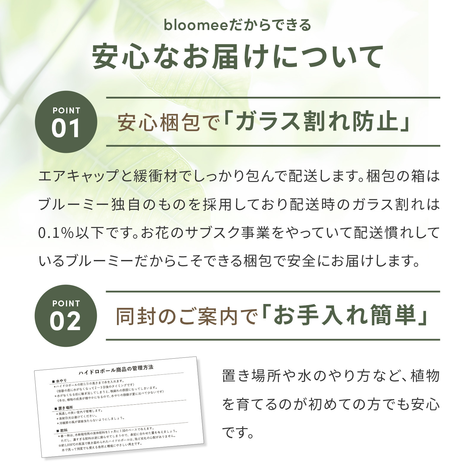 テーブルヤシ ３号 ハイドロカルチャー 観葉植物