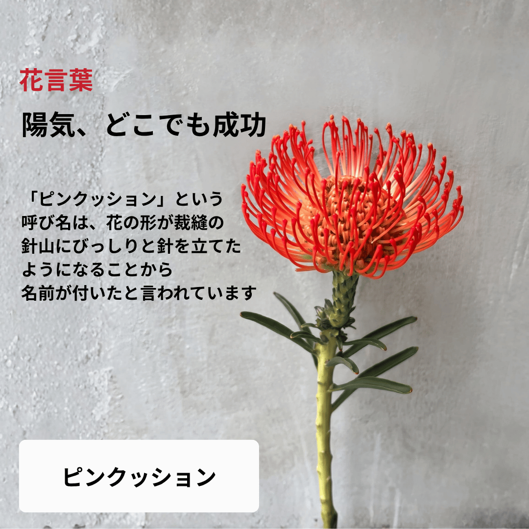 【南半球原産】ネイティブフラワーブーケ（Mサイズ）
