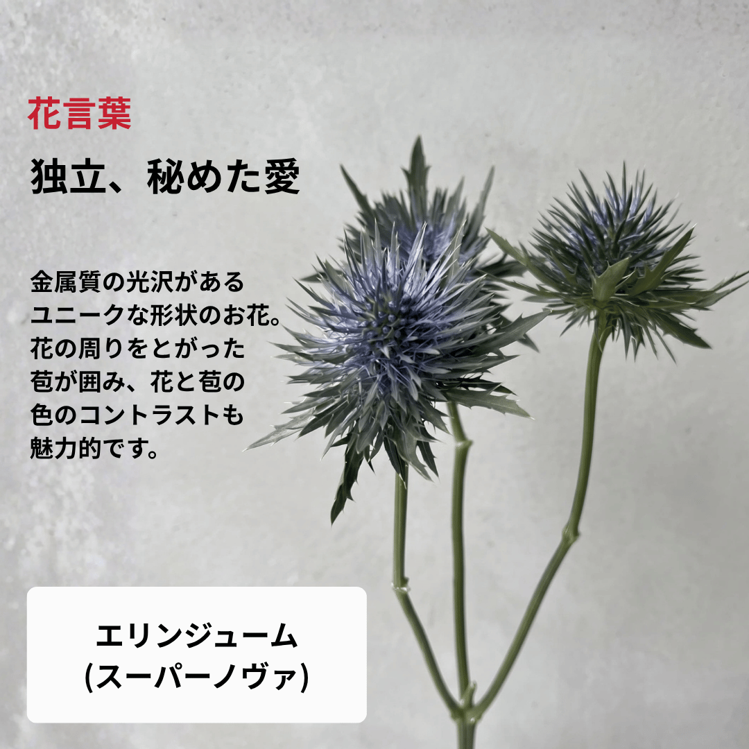 【南半球原産】ネイティブフラワーブーケ（Mサイズ）