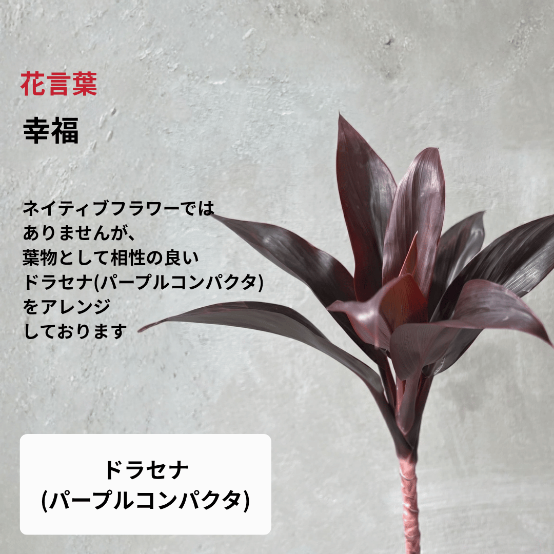 【南半球原産】ネイティブフラワーブーケ（Mサイズ）