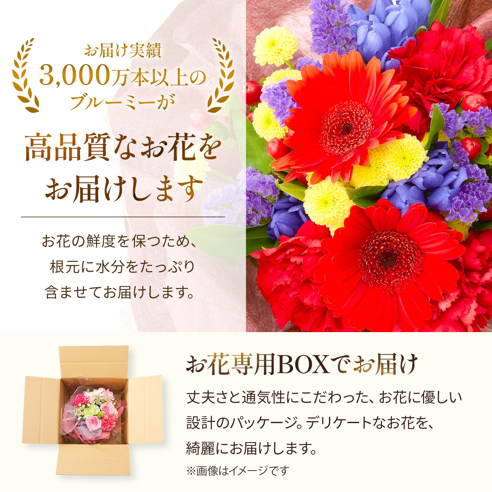 そのまま飾れるブーケ(敬老ver、Mサイズ)と 銀座千疋屋フルーツクッキー のセット