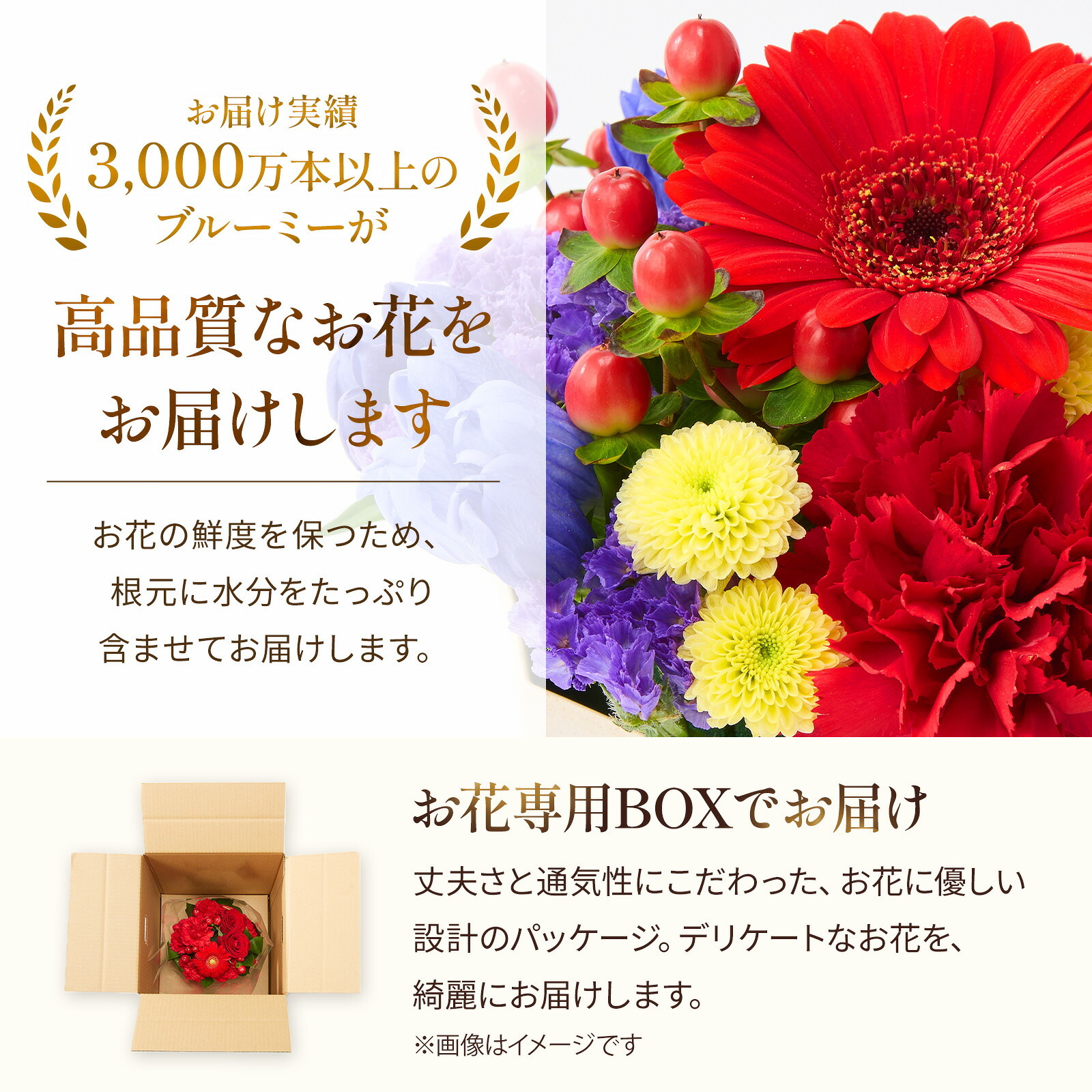 アレンジメント(敬老ver、Sサイズ)と 銀座千疋屋フルーツカステラ のセット