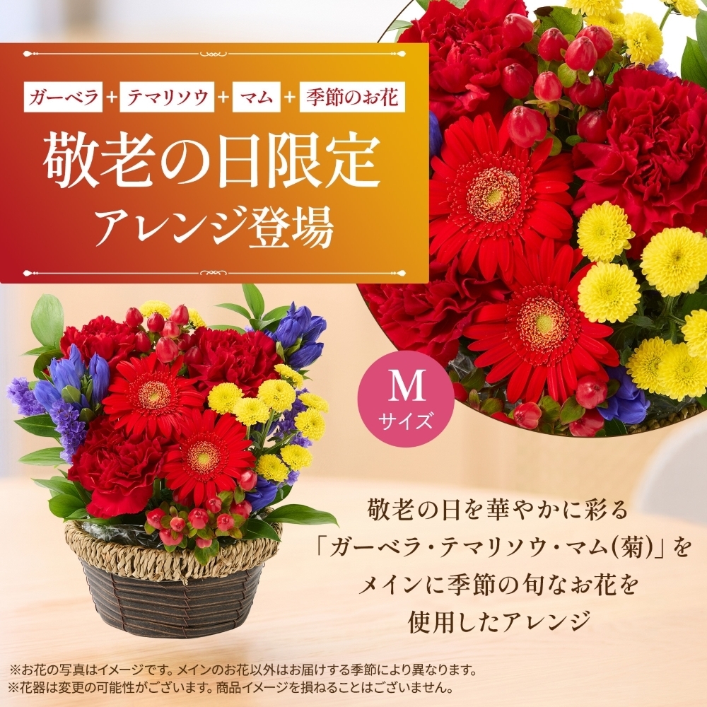 アレンジメント(敬老ver、Mサイズ)と 八天堂プリン のセット