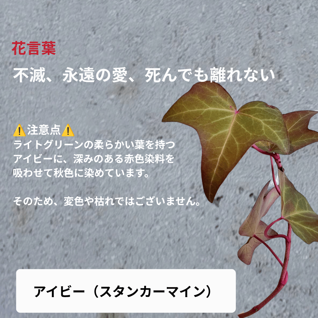 【10月限定】ハロウィンアレンジメント