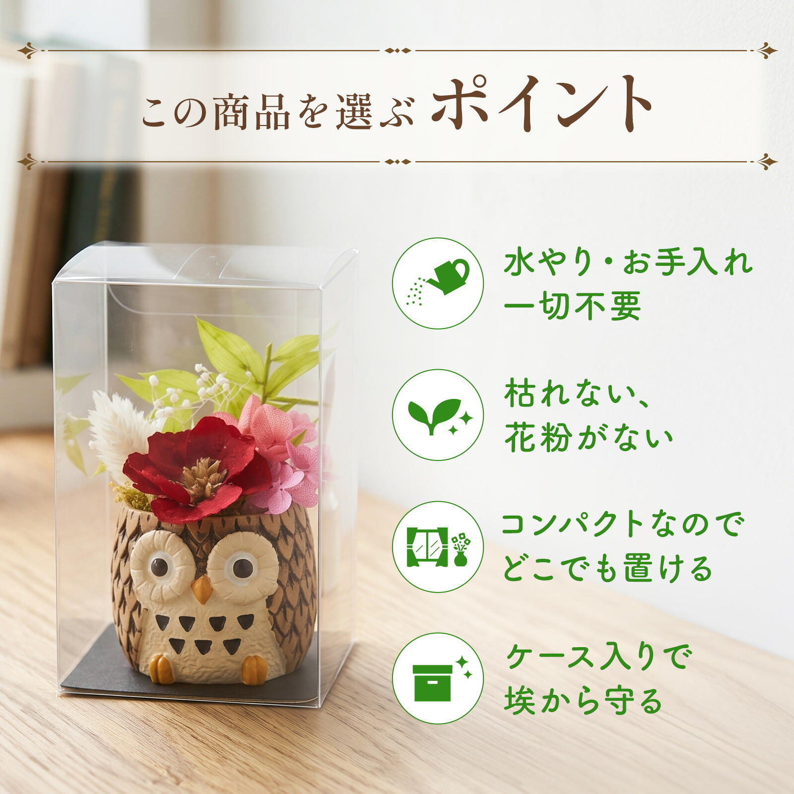 アニマルポットプリザ（フクロウ、茶）