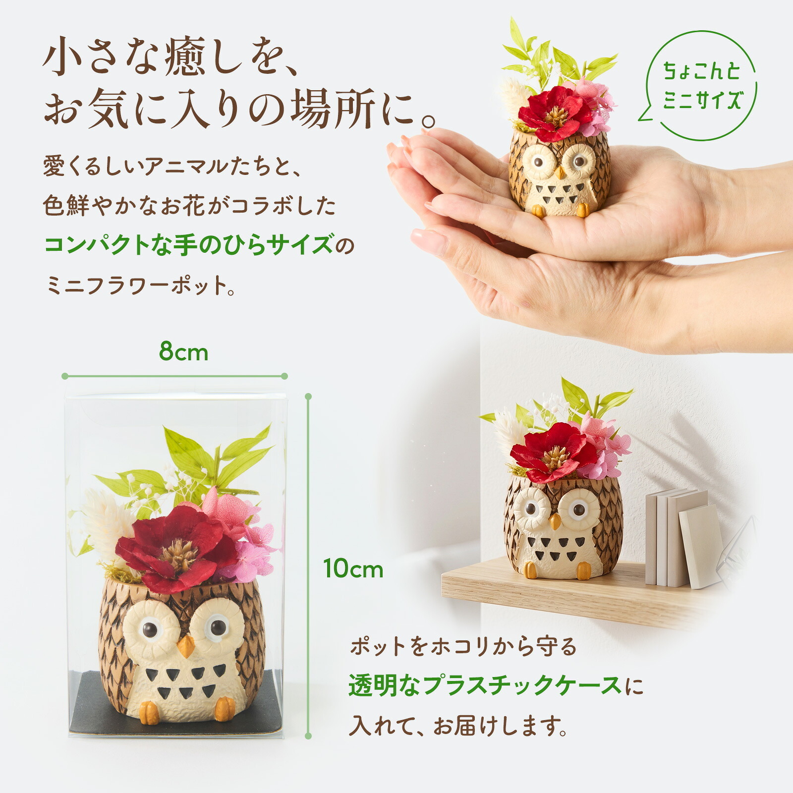 アニマルポットプリザ（フクロウ、茶）