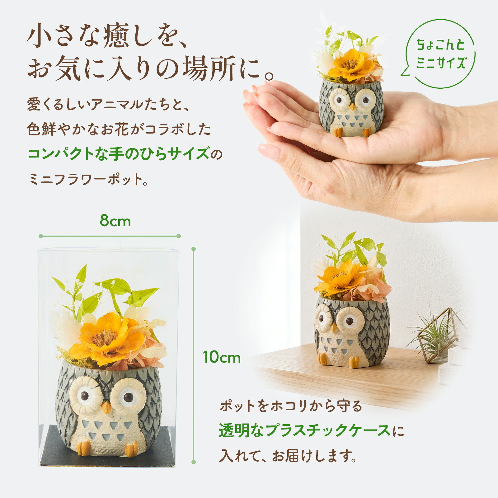 アニマルポットプリザ（フクロウ、グレー）