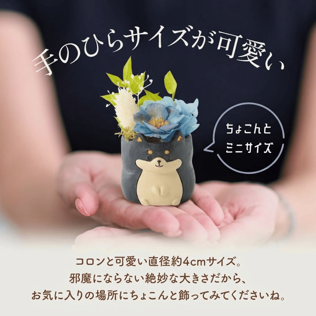 アニマルポットプリザ（柴犬、黒）