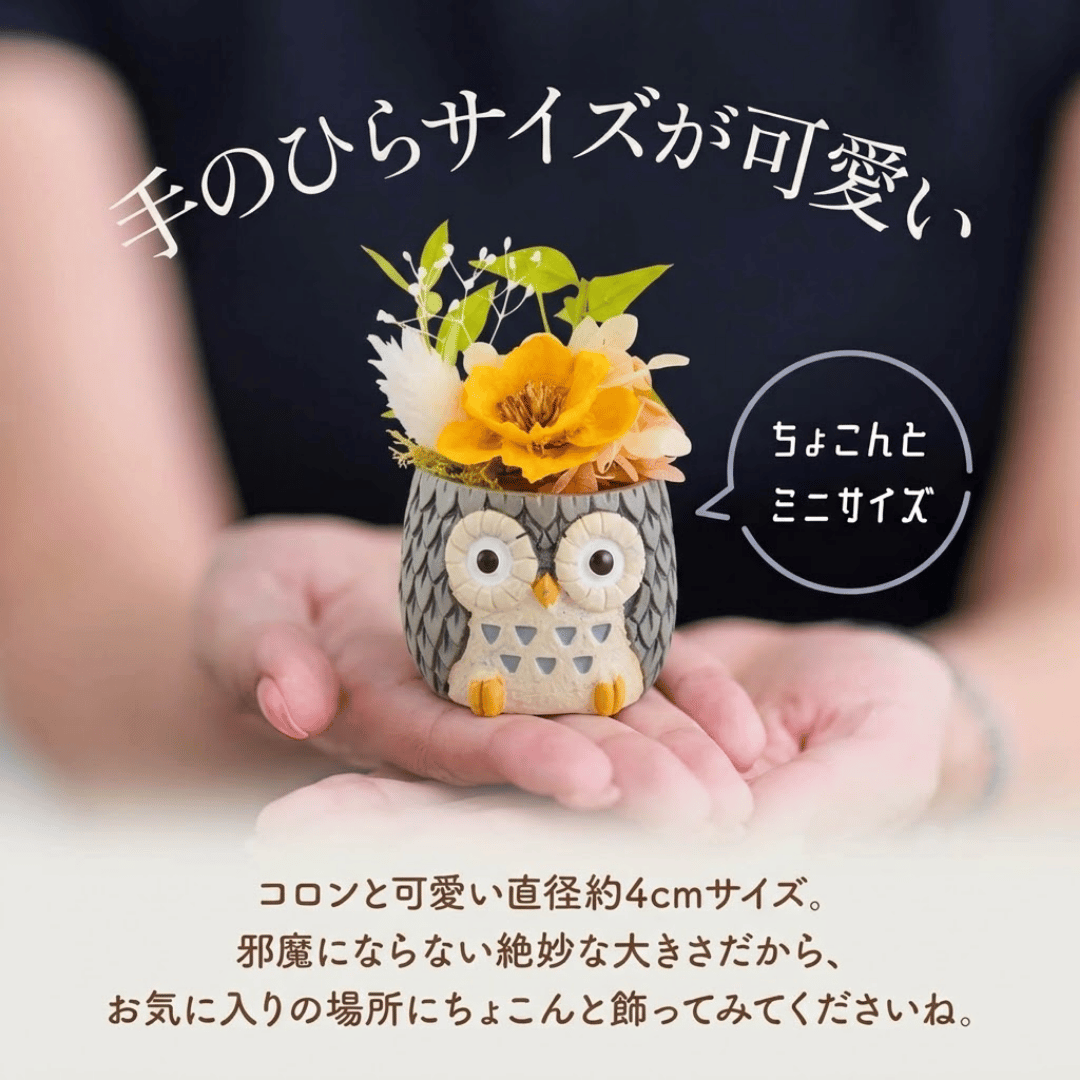 アニマルポットプリザ（フクロウ、グレー）