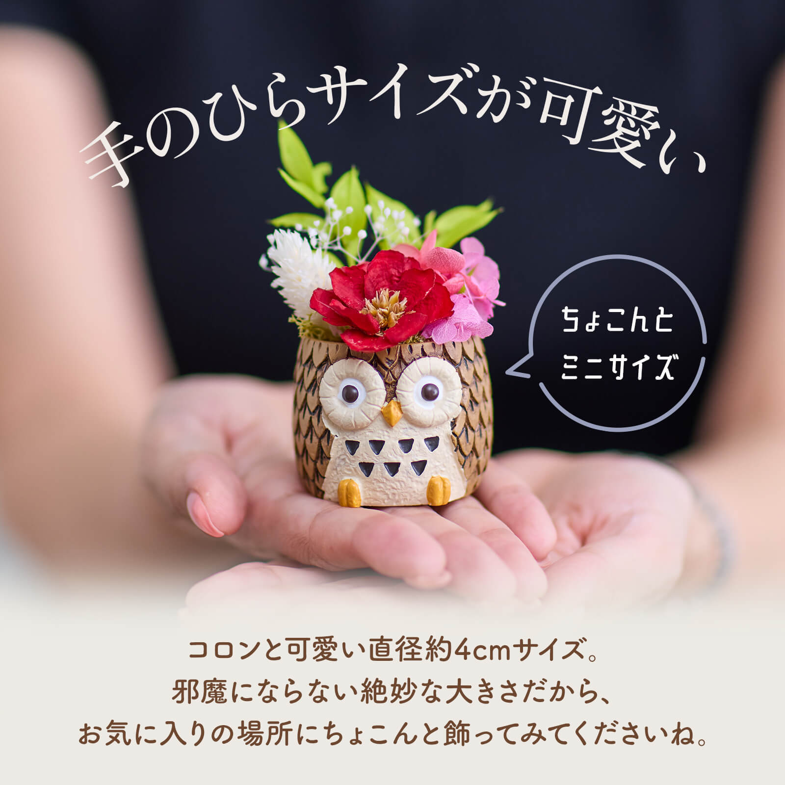 アニマルポットプリザ（フクロウ、茶）