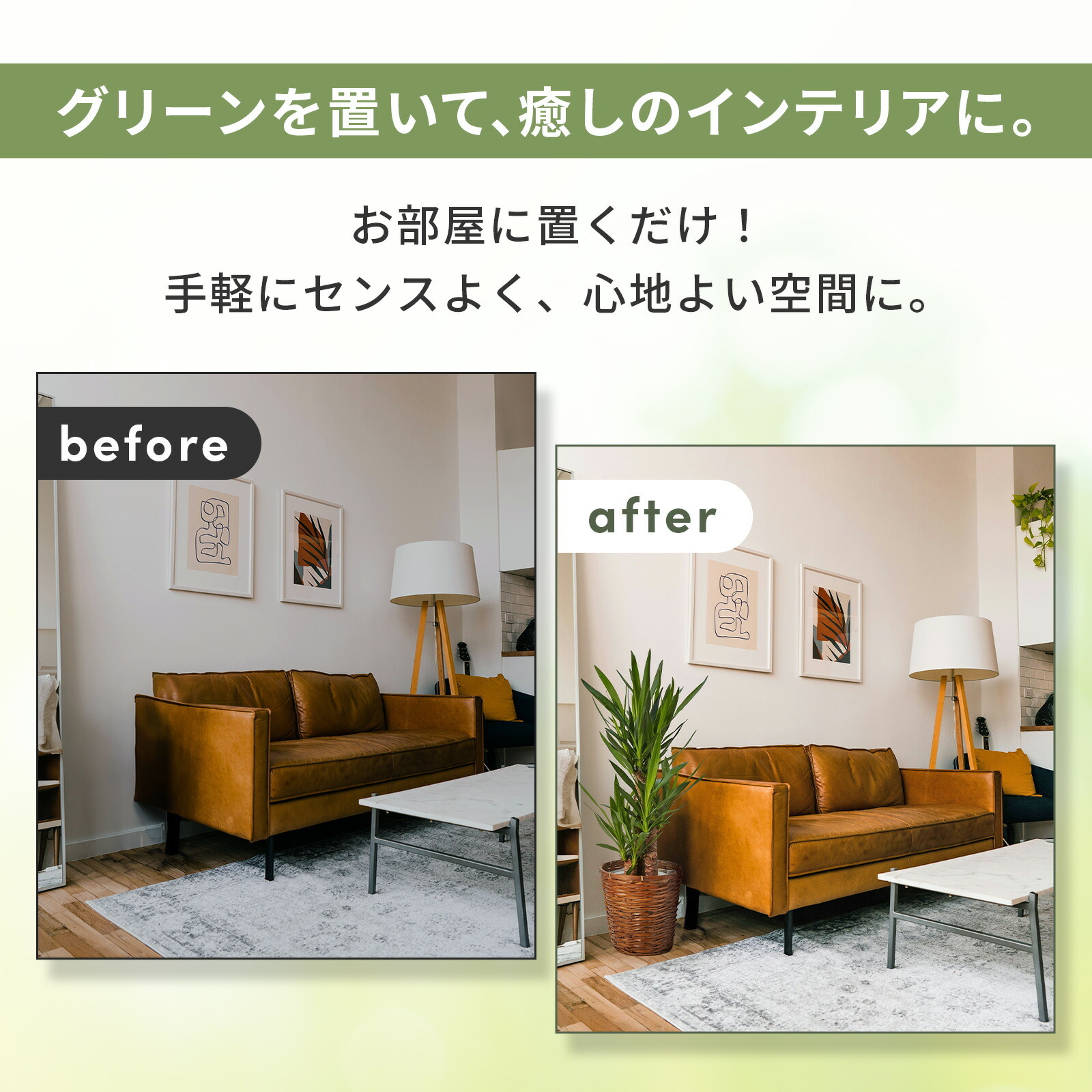 ユッカ 7号 カゴ