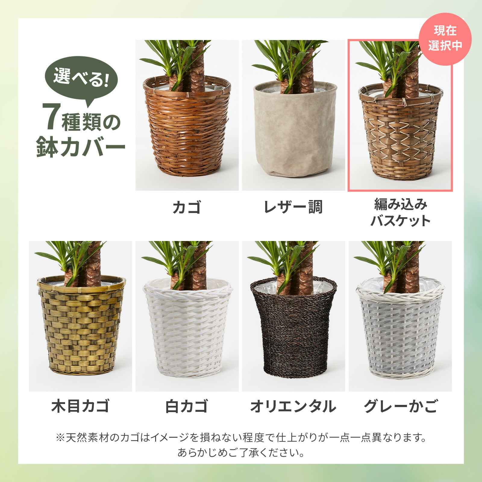 ユッカ 7号 編み込みバスケット