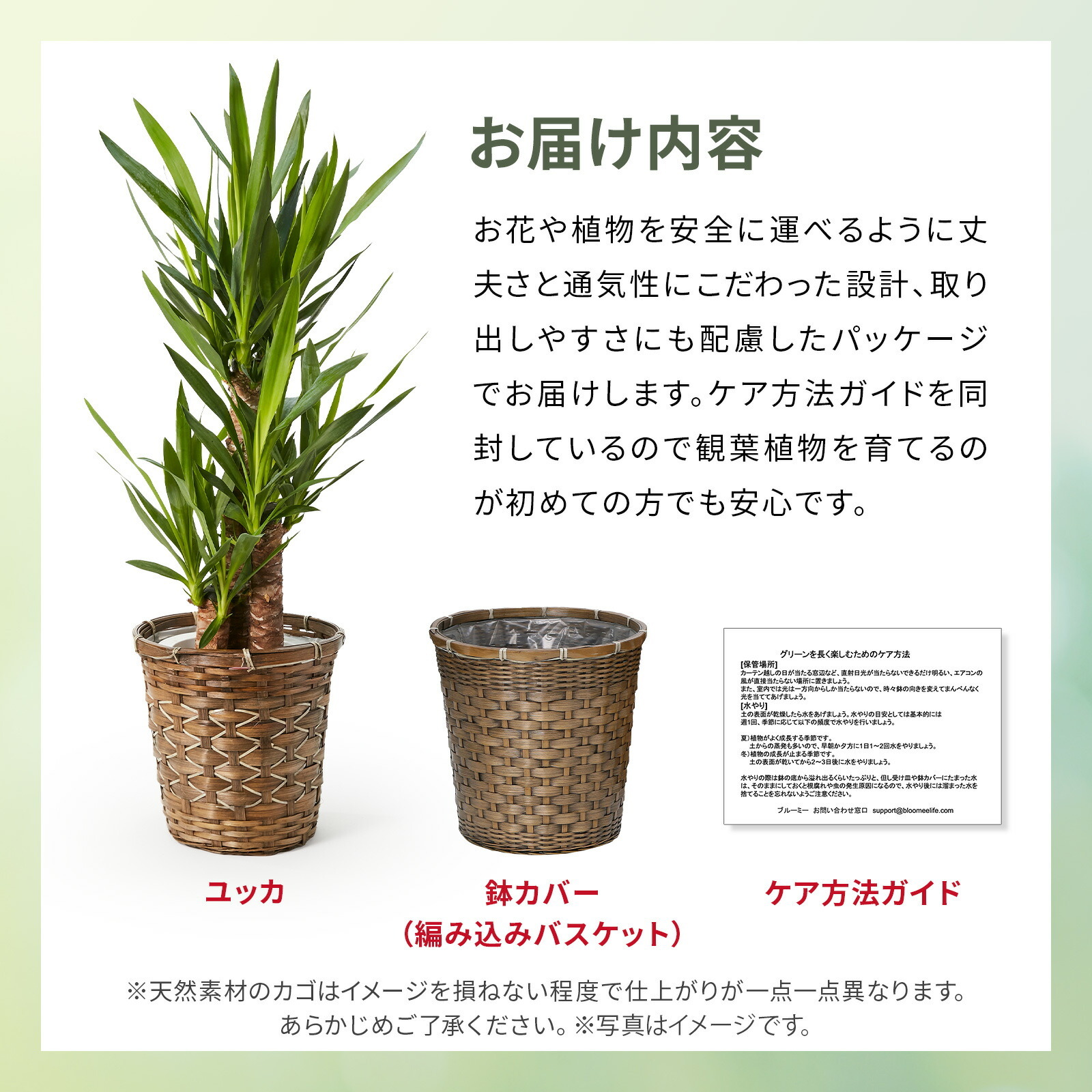 ユッカ 7号 編み込みバスケット