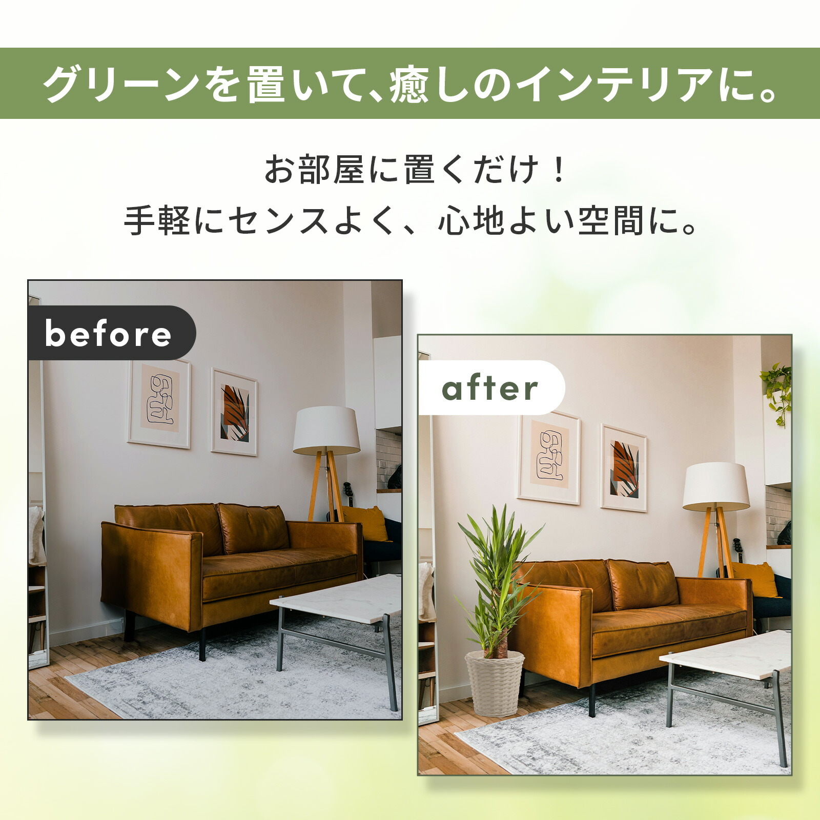 ユッカ 7号 白カゴ