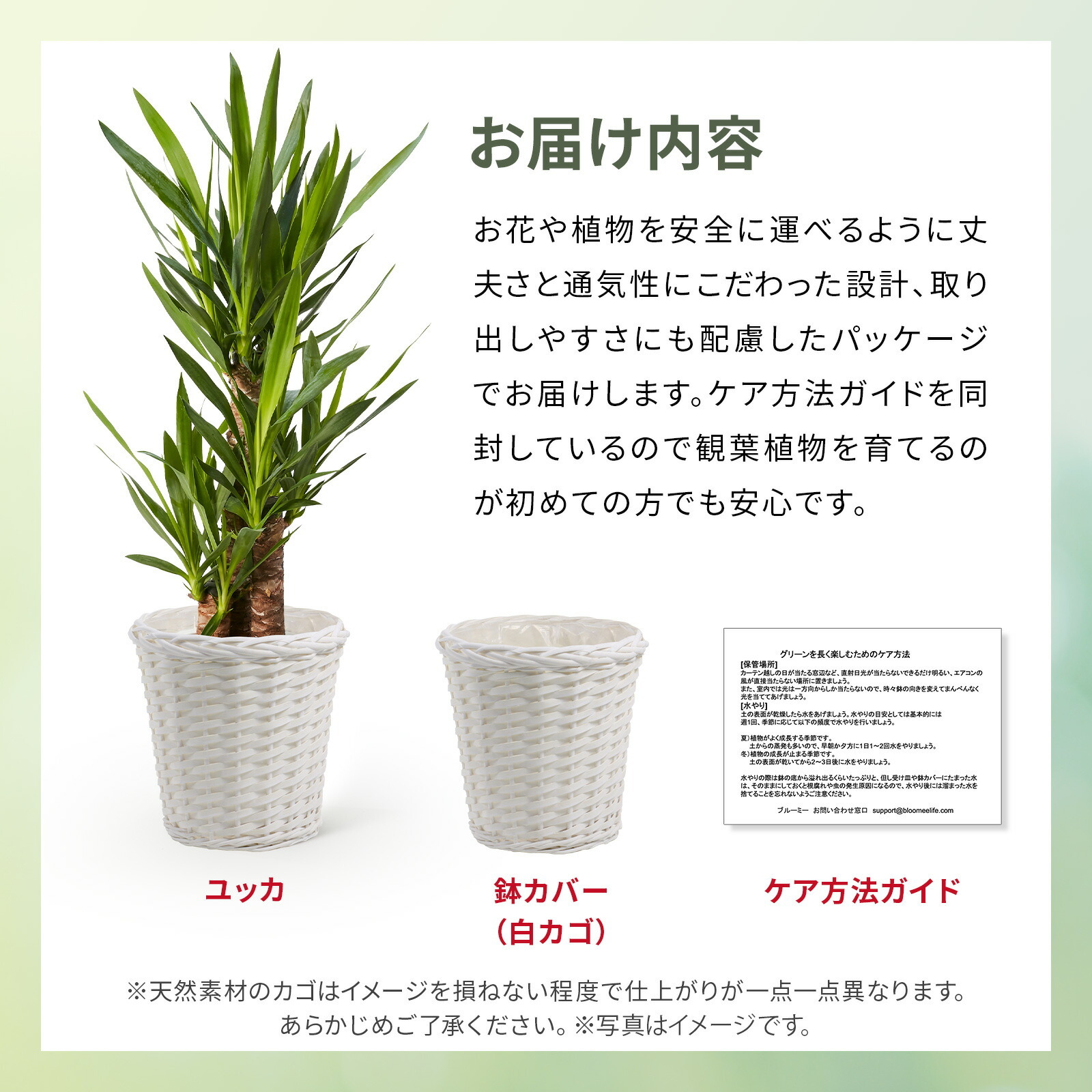 ユッカ 7号 白カゴ