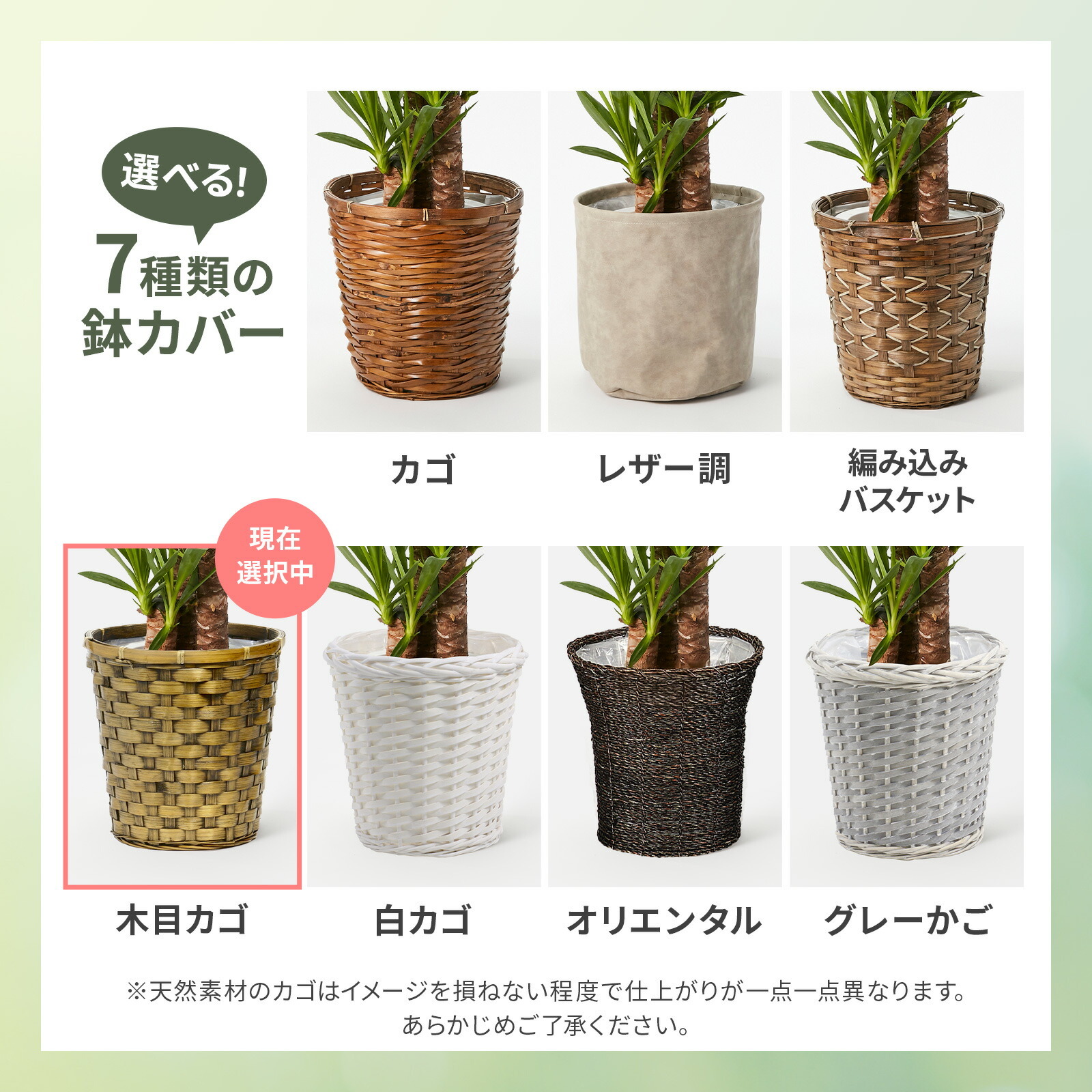 ユッカ 7号 木目カゴ