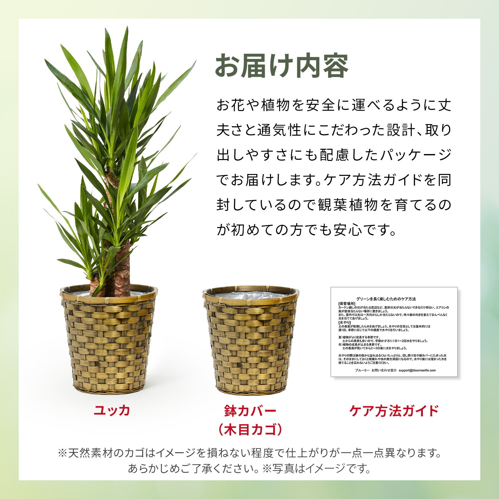 ユッカ 7号 木目カゴ