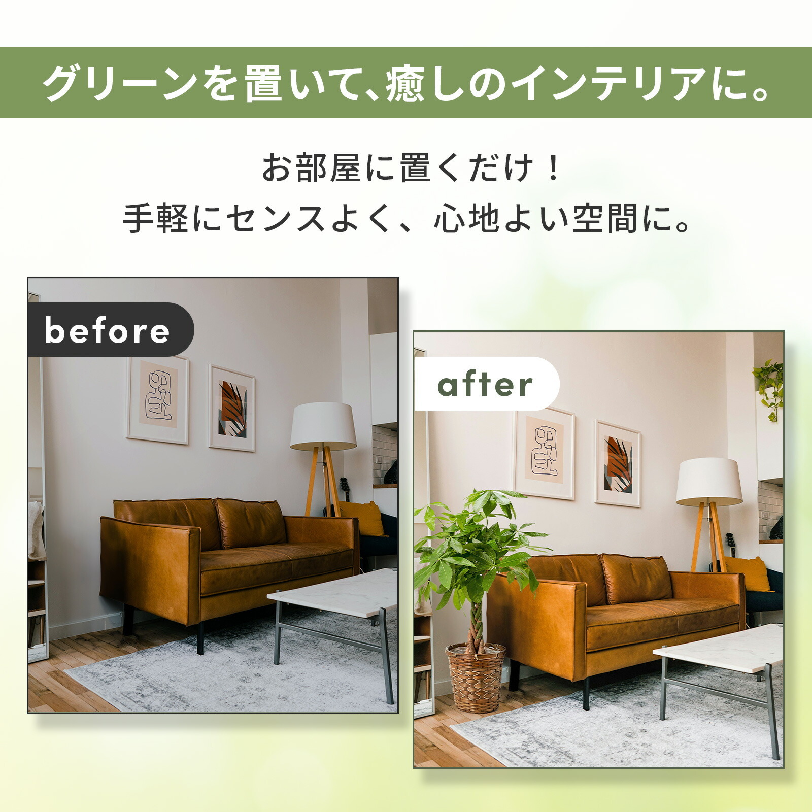 パキラ7号 編み込みバスケット