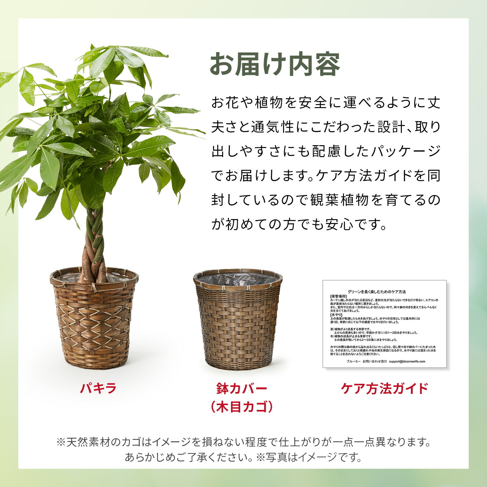 パキラ7号 編み込みバスケット