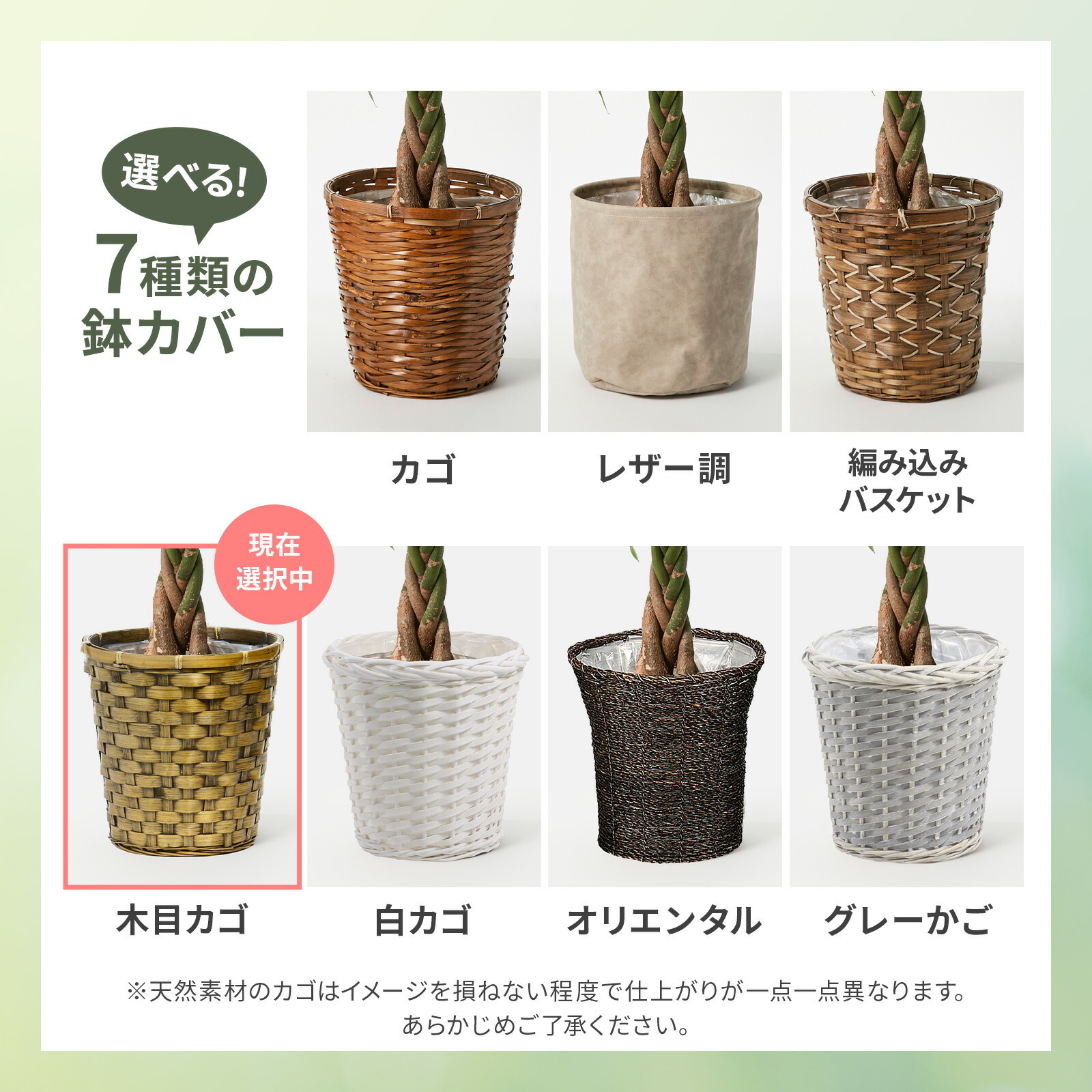 パキラ7号 木目カゴ