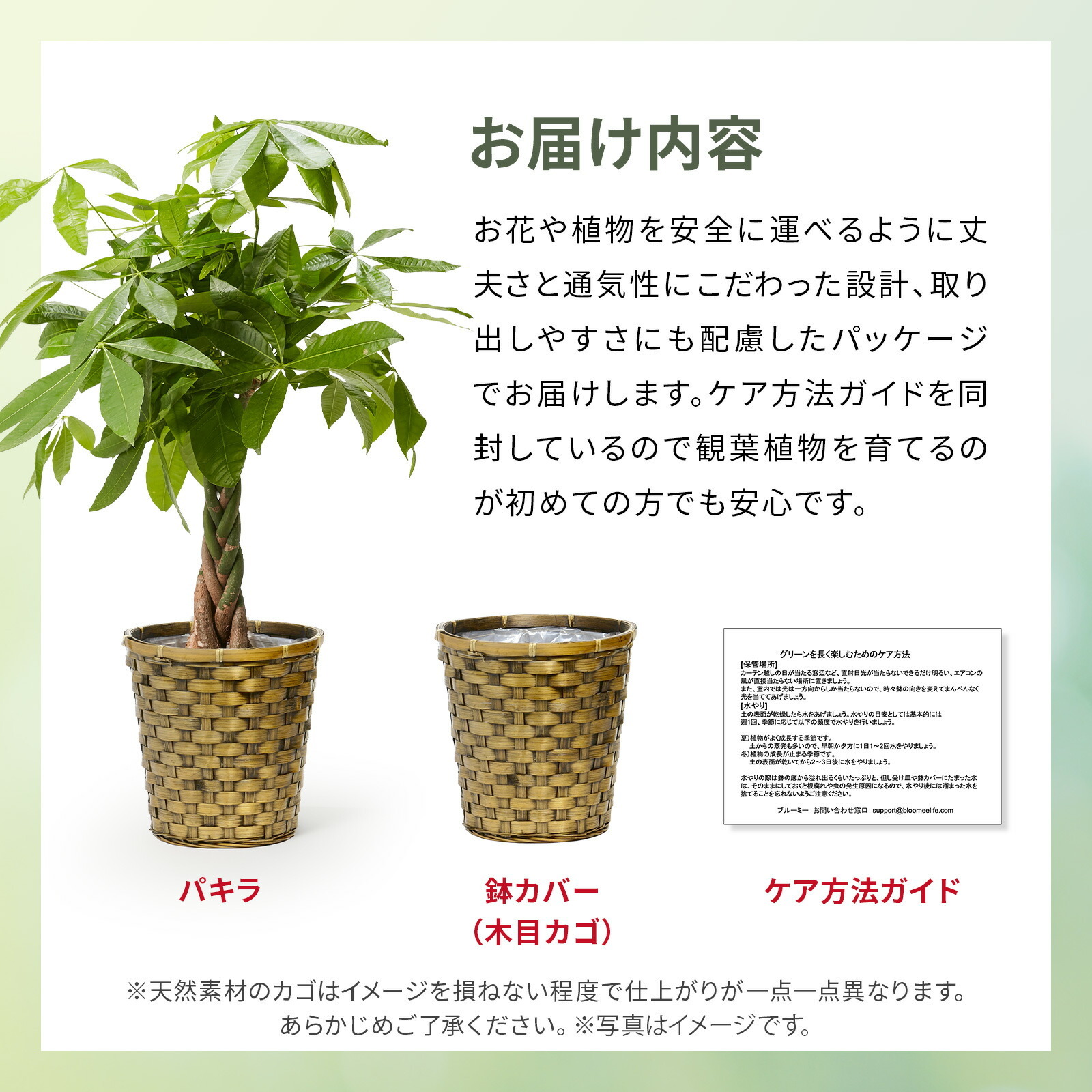 パキラ7号 木目カゴ