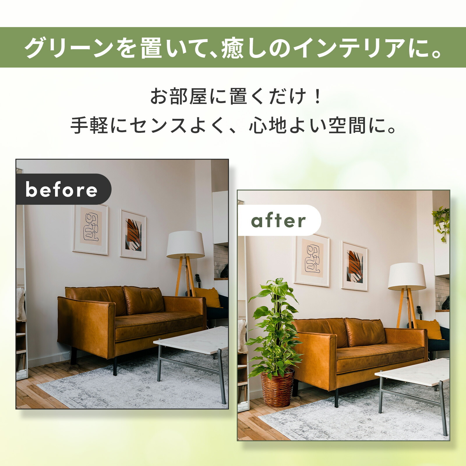 ポトス7号 カゴ