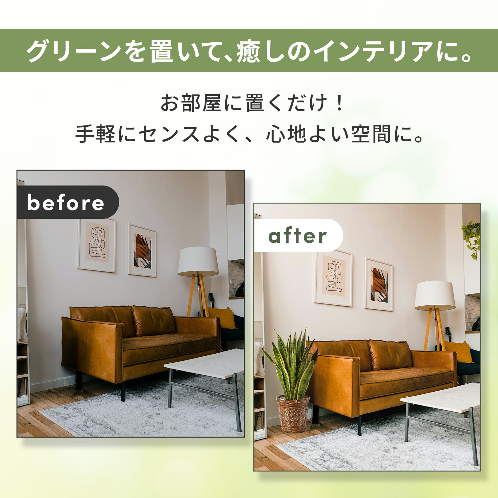 サンスベリア7号 編み込みバスケット