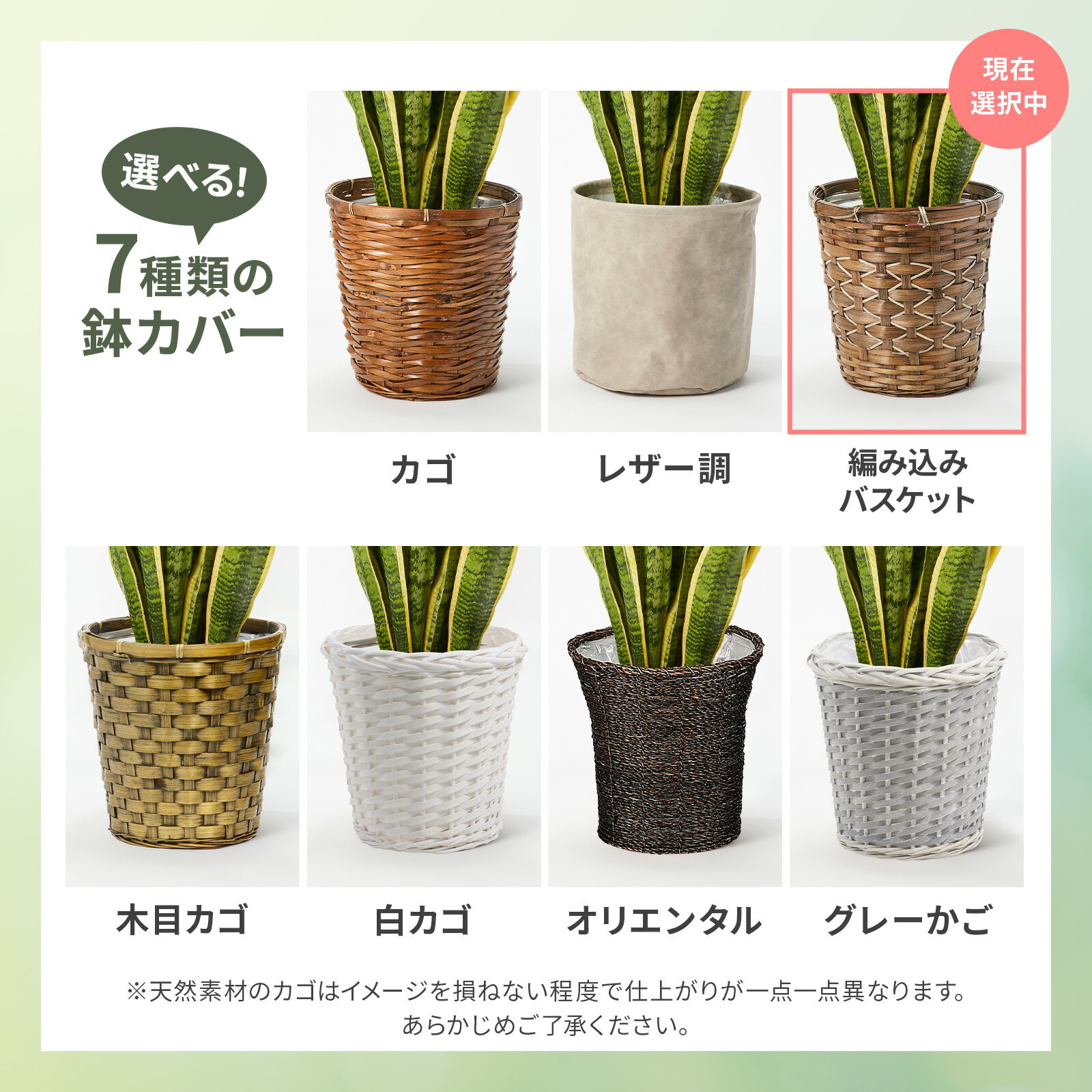 サンスベリア7号 編み込みバスケット