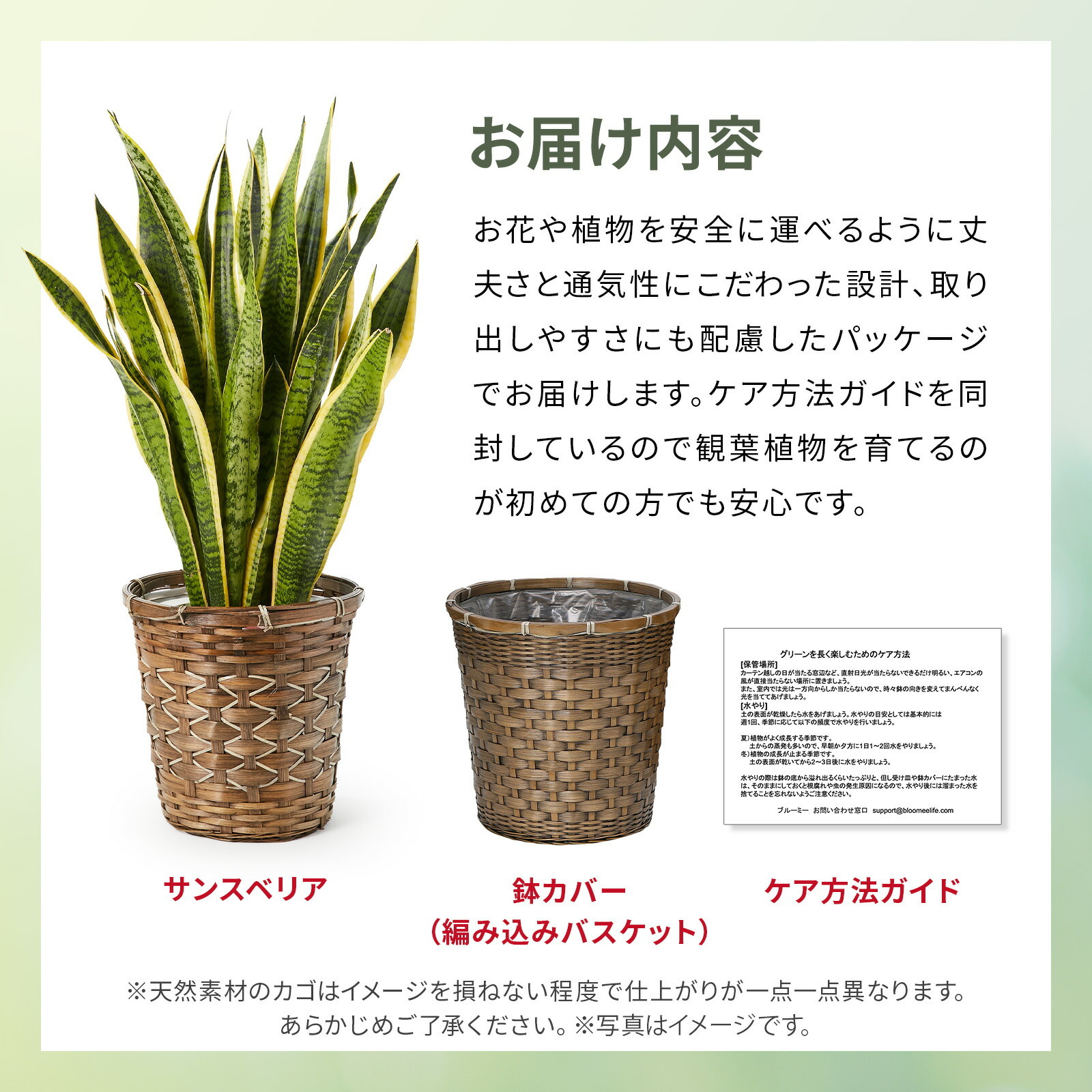 サンスベリア7号 編み込みバスケット