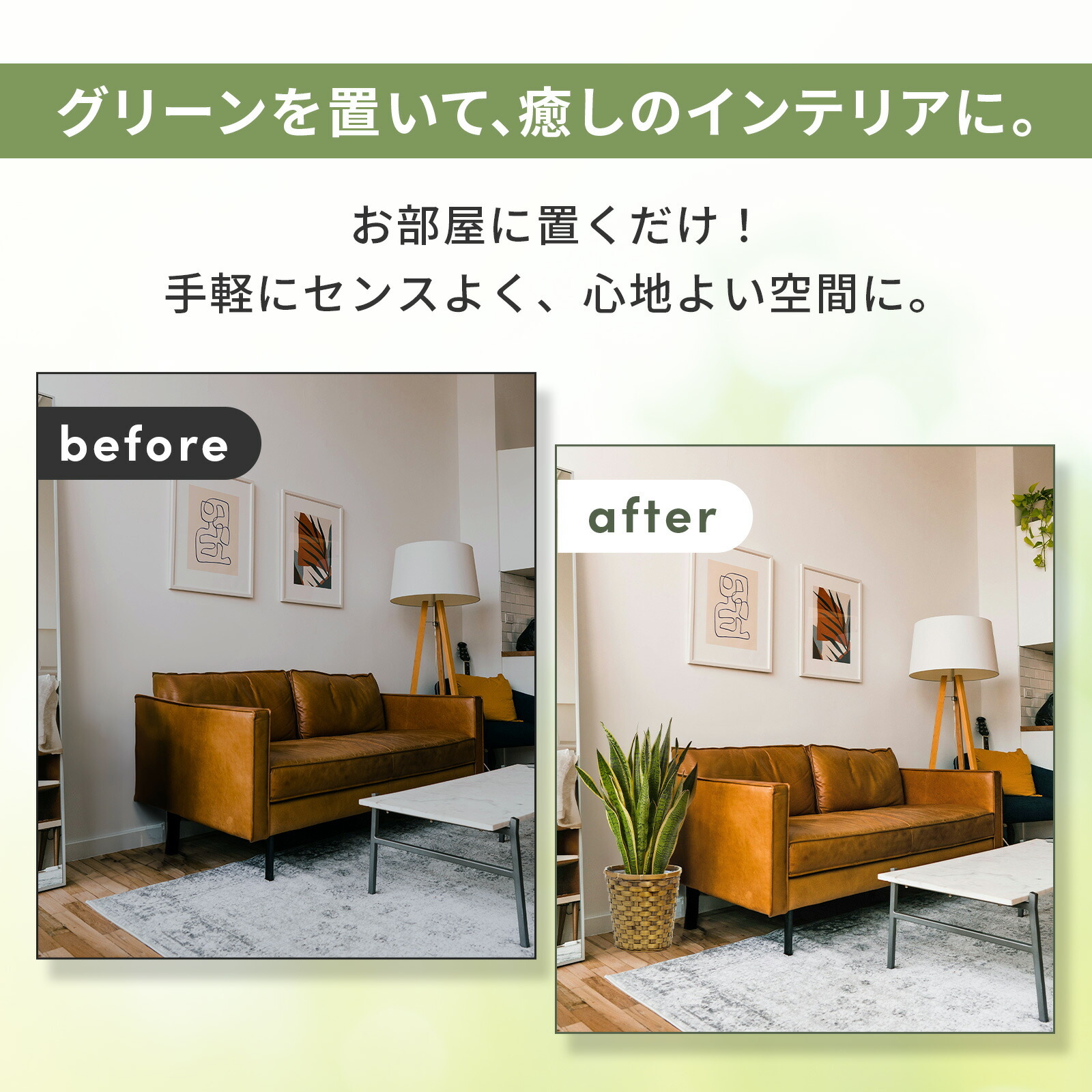 サンスベリア7号　木目カゴ