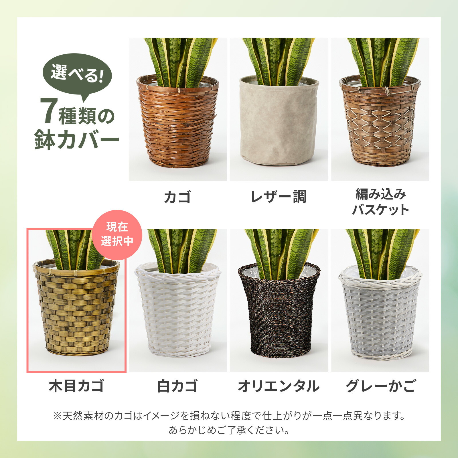 サンスベリア7号　木目カゴ