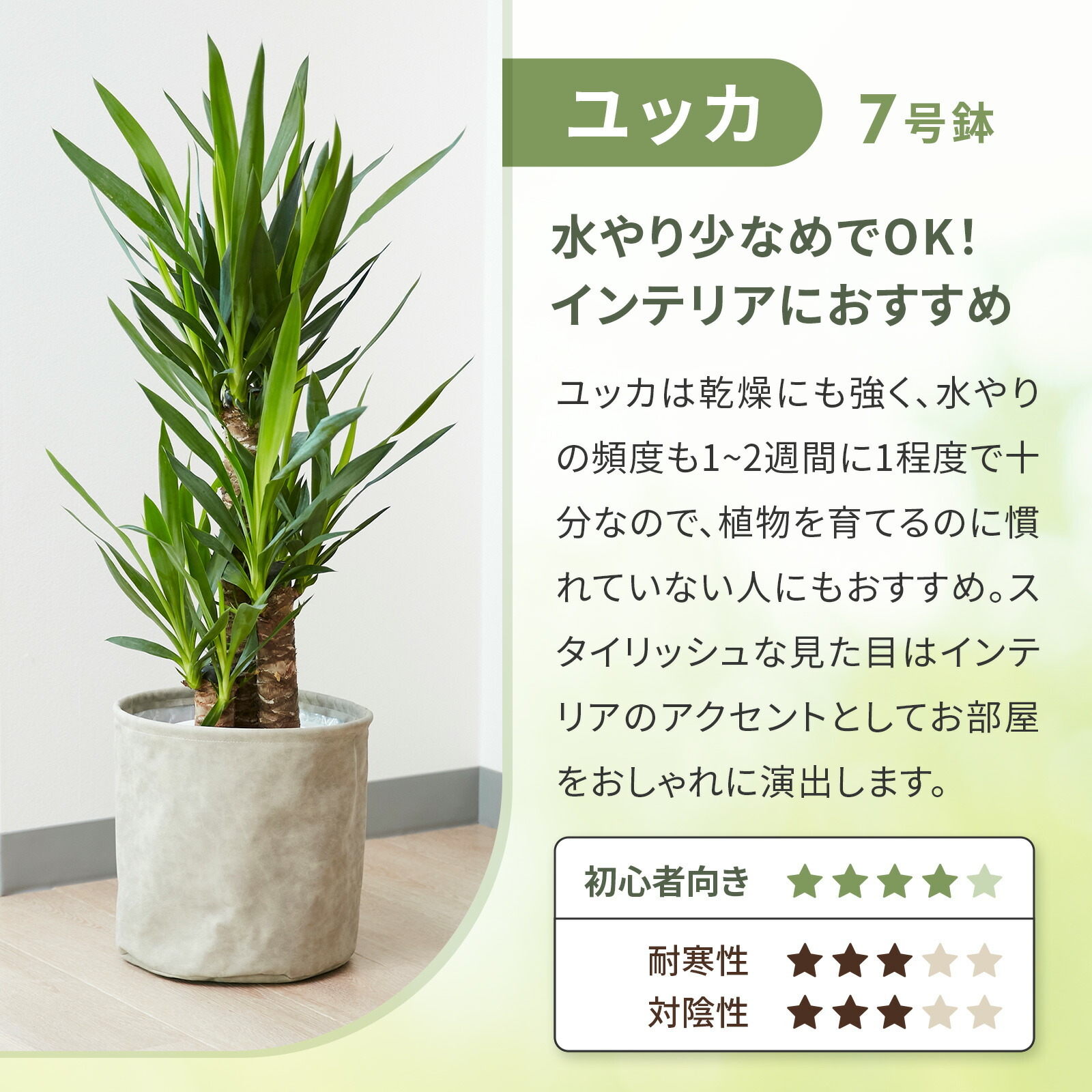 ユッカ 7号 レザーカバー