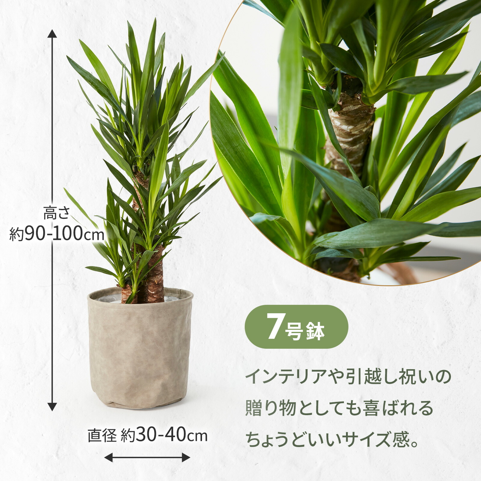 ユッカ 7号 レザーカバー