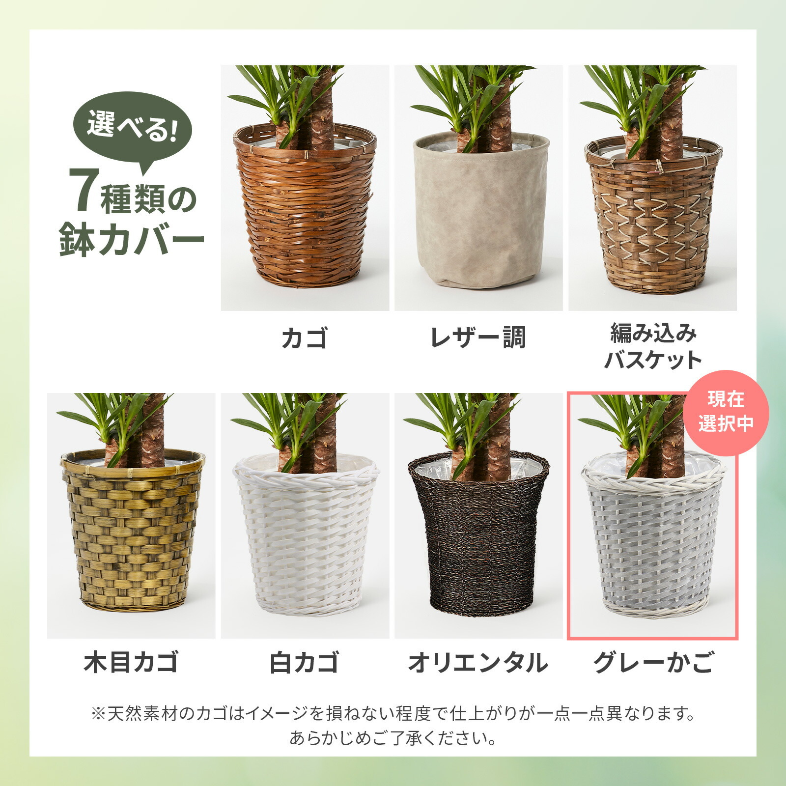 ユッカ 7号 グレーかご