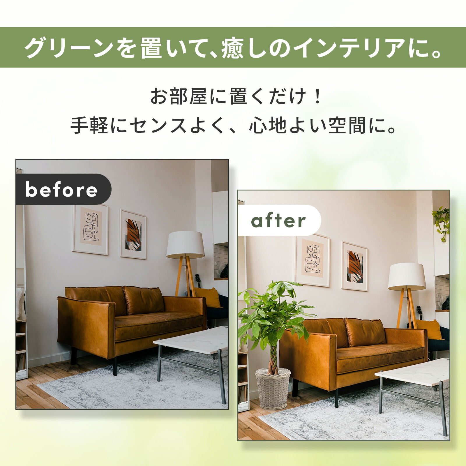 パキラ７号 グレーかご