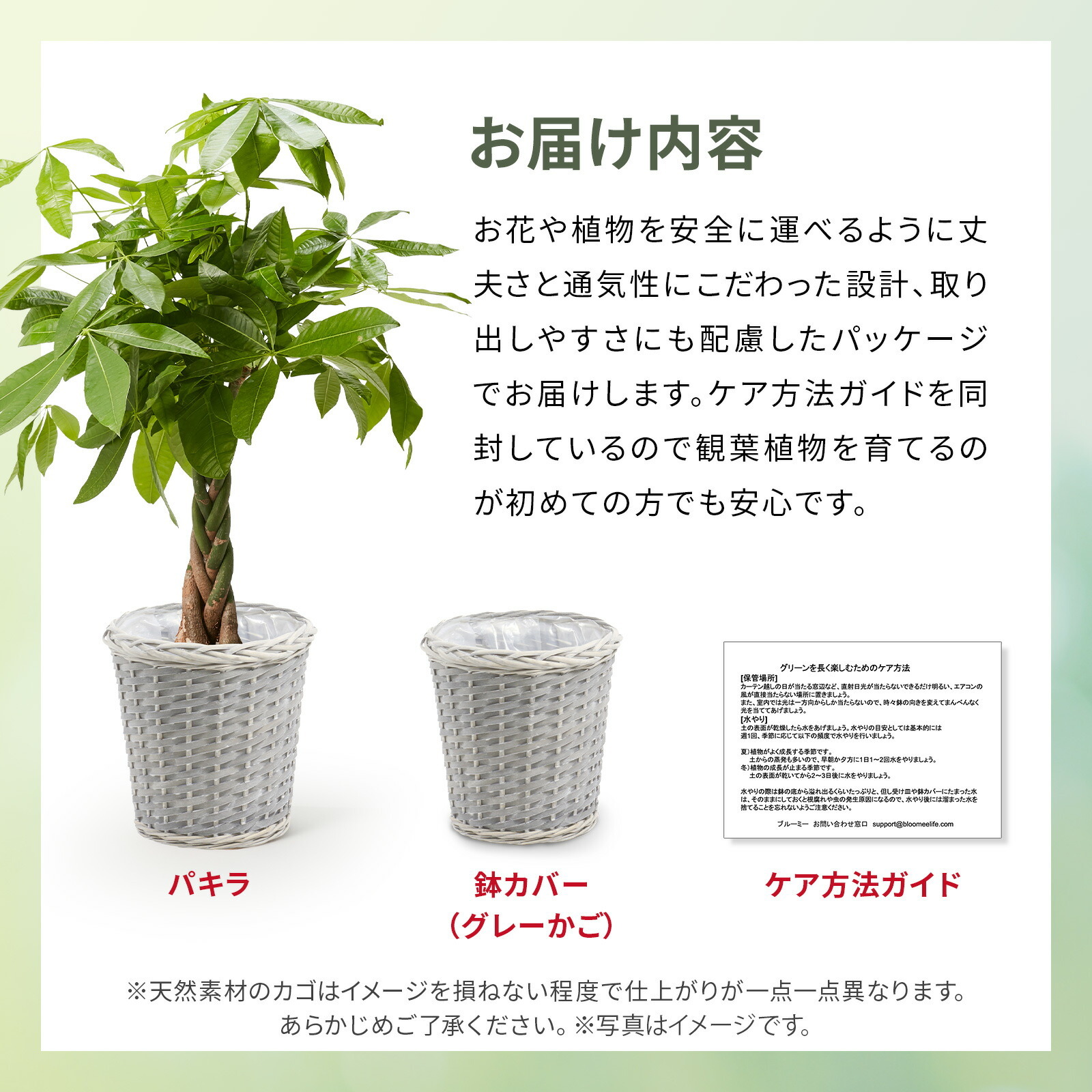 パキラ７号 グレーかご