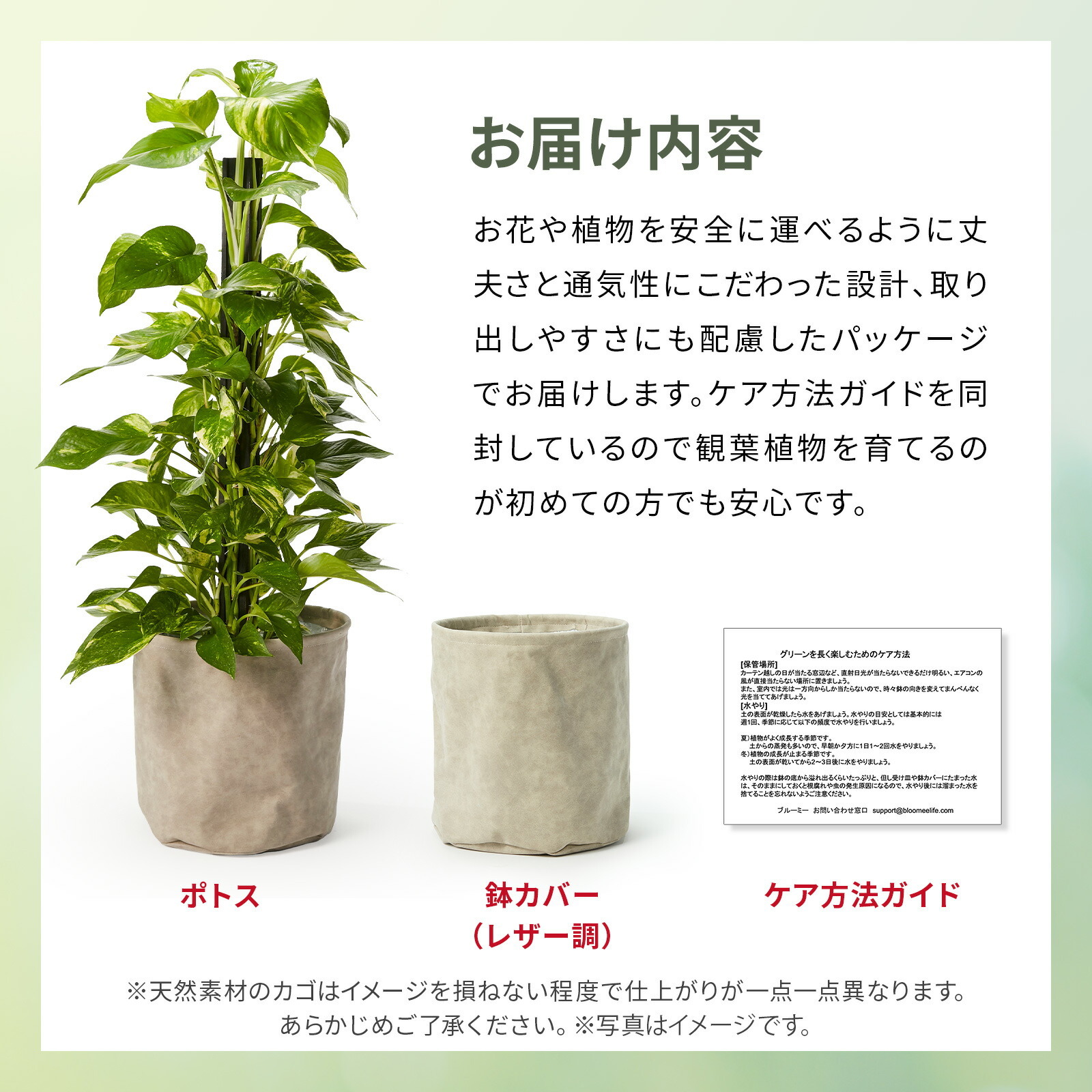 ポトス7号  レザーカバー