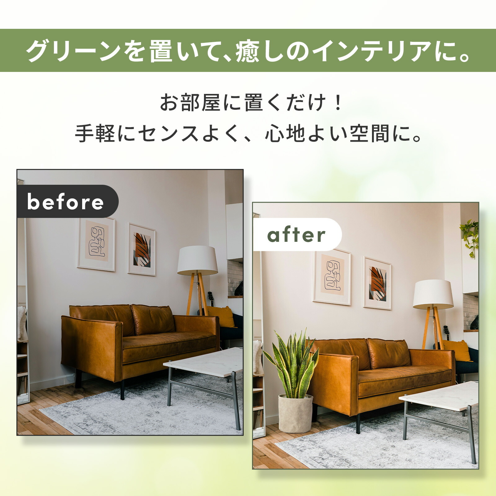 サンスベリア7号 レザーカバー