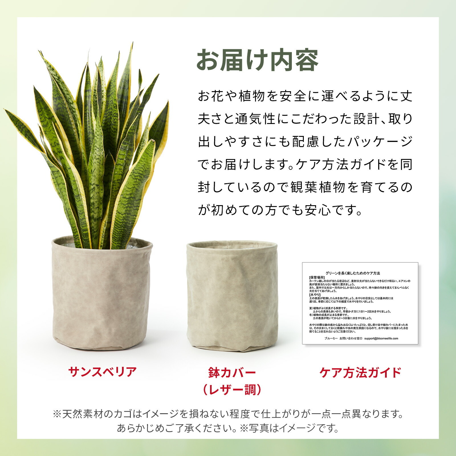 サンスベリア7号 レザーカバー