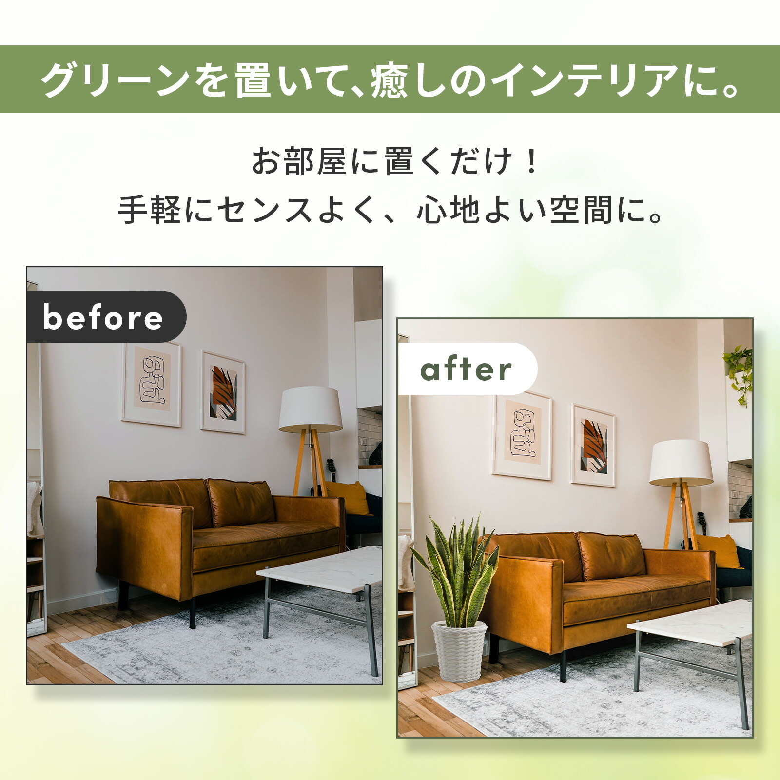 サンスベリア７号 グレーかご