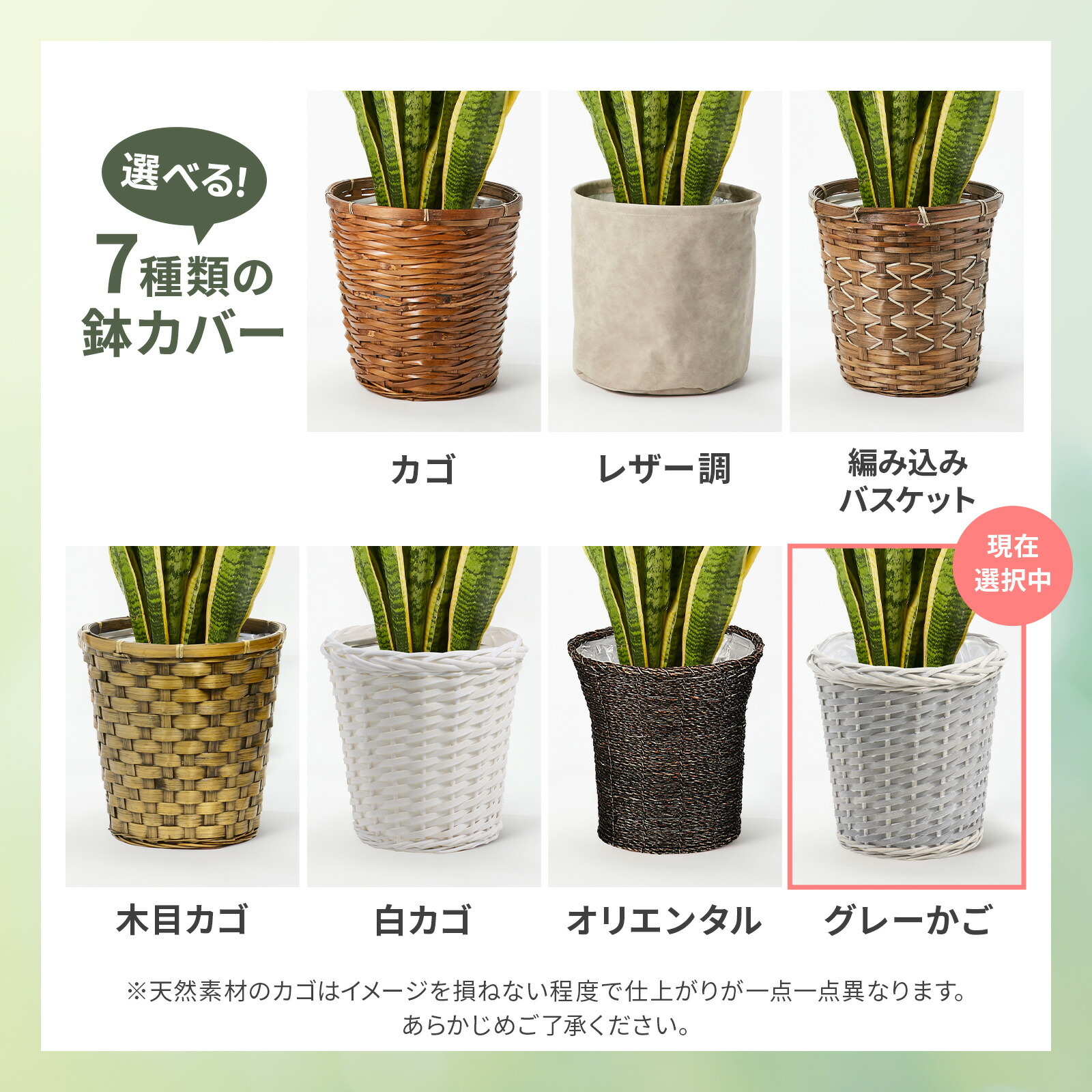 サンスベリア７号 グレーかご