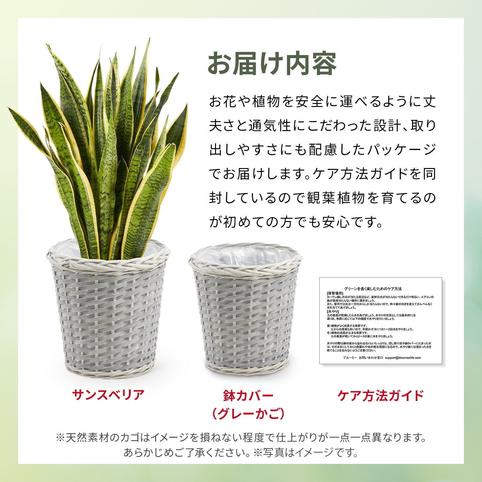 サンスベリア７号 グレーかご