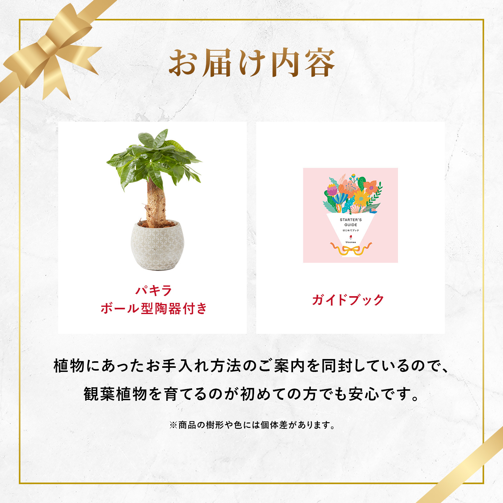 パキラ 4.5号 ボール型陶器