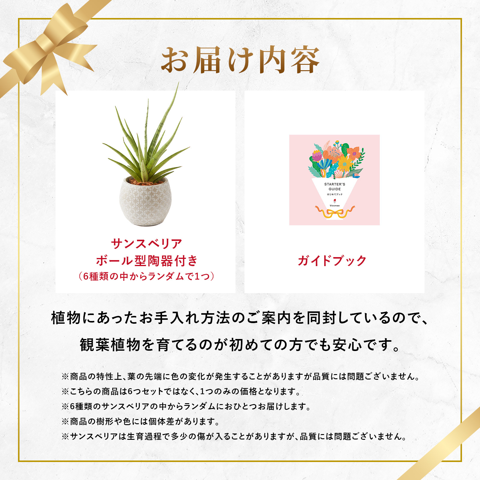 サンスベリア 4.5号 ボール型陶器 | 観葉植物のギフト通販 ブルーミー