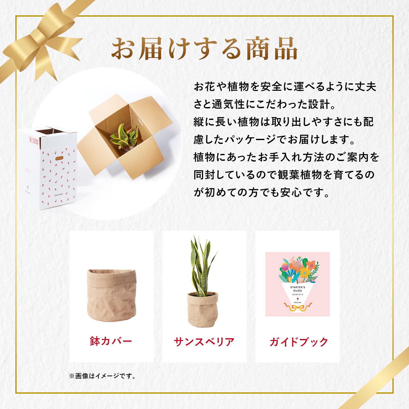 サンスベリア 5号 布カバー