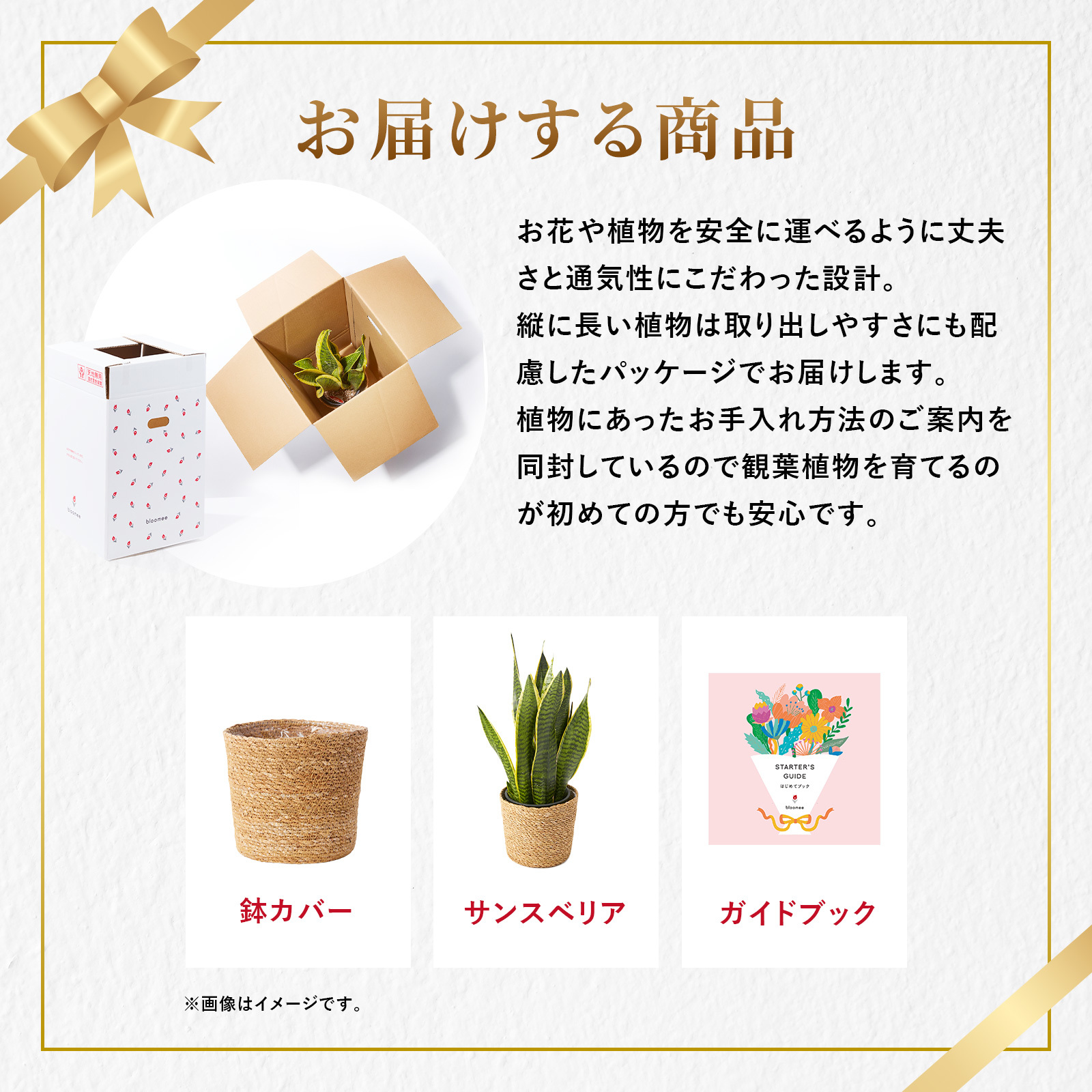 サンスベリア 5号 ジュートカバー