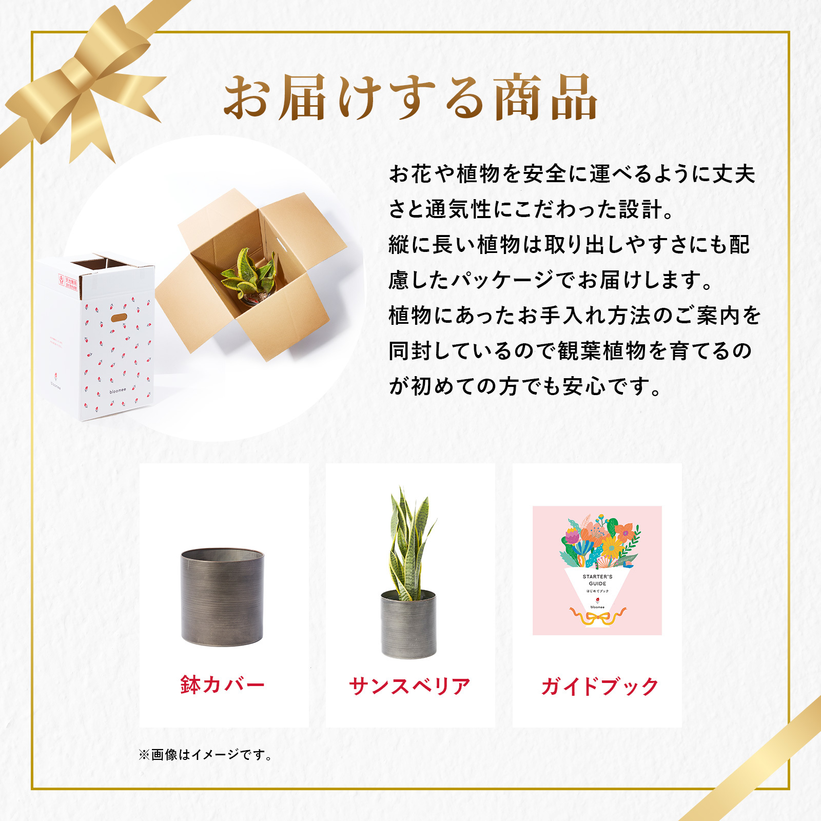 サンスベリア 5号 メタル鉢カバー | 観葉植物のギフト通販 ブルーミー