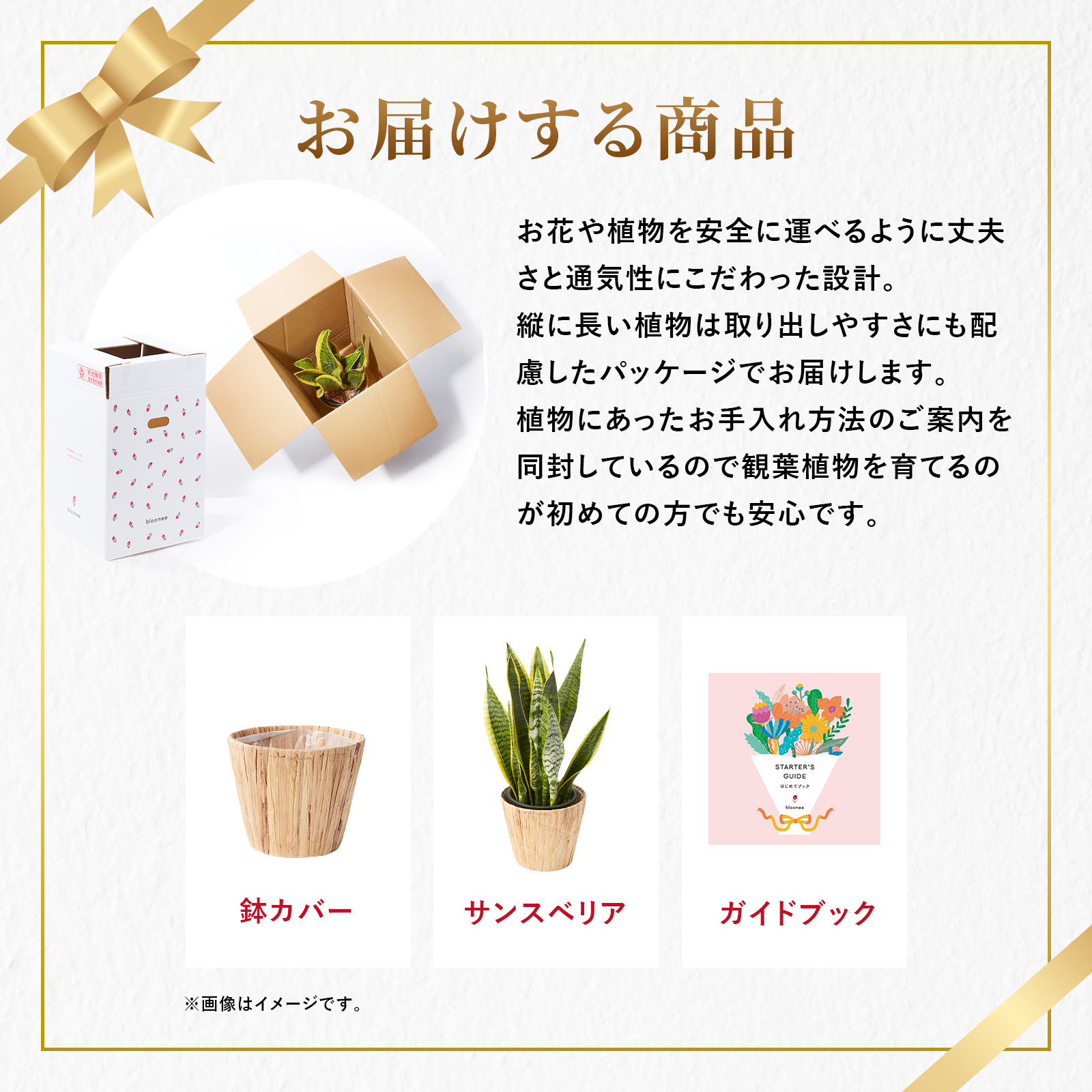 サンスベリア 5号 ナチュラルバスケット