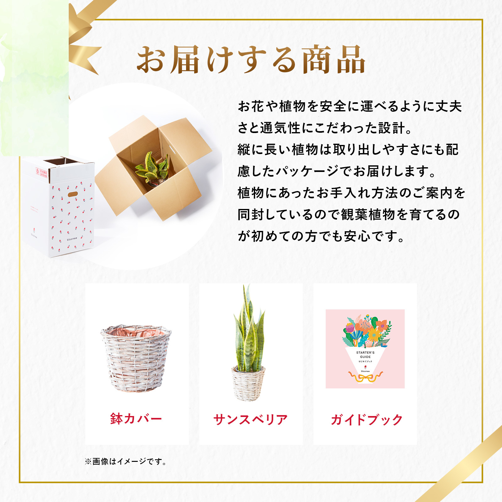 サンスベリア 5号 かごカバー